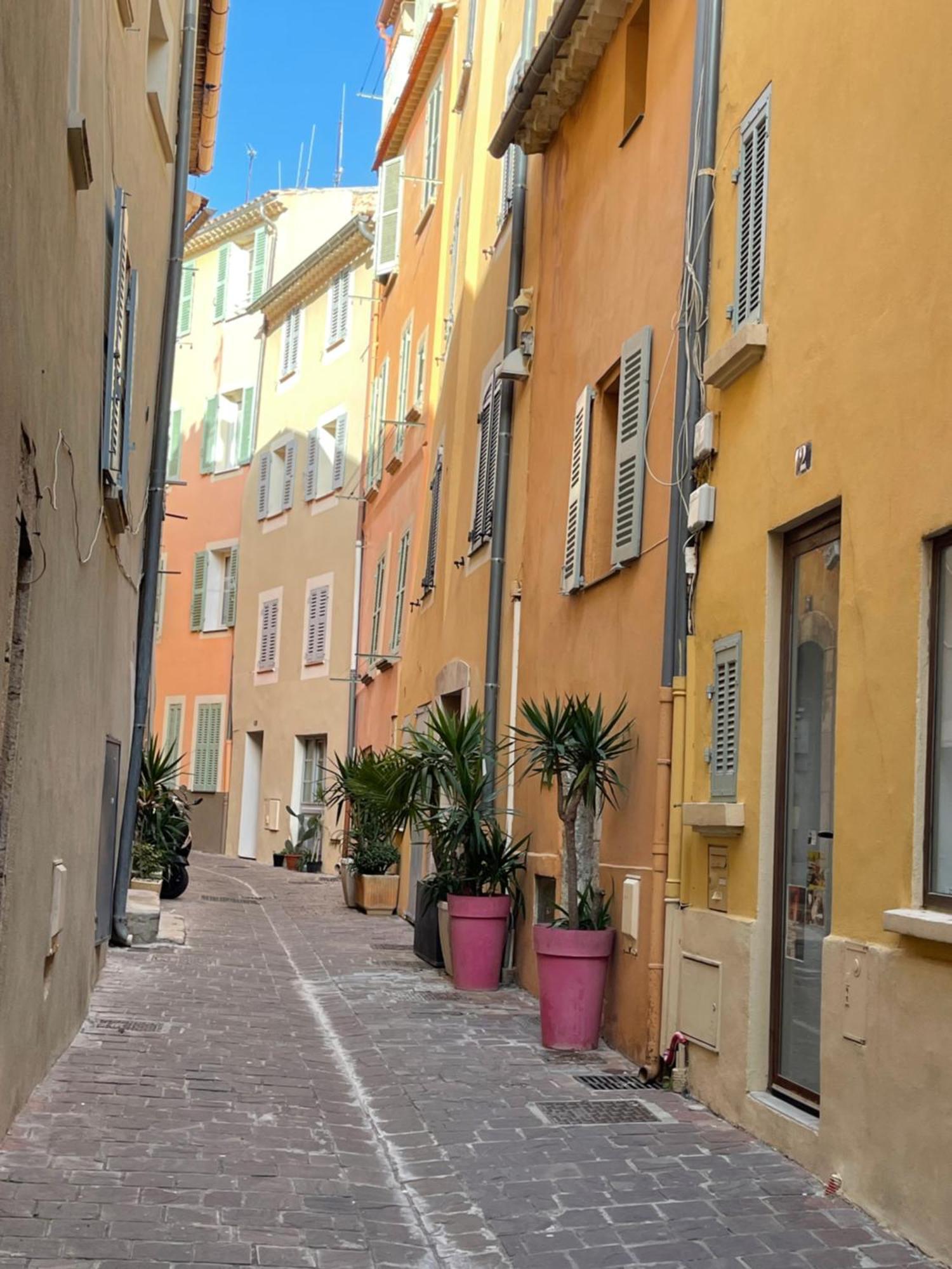 Le Palmae, Serenite Et Charme En Coeur De Ville Hyères Exteriér fotografie