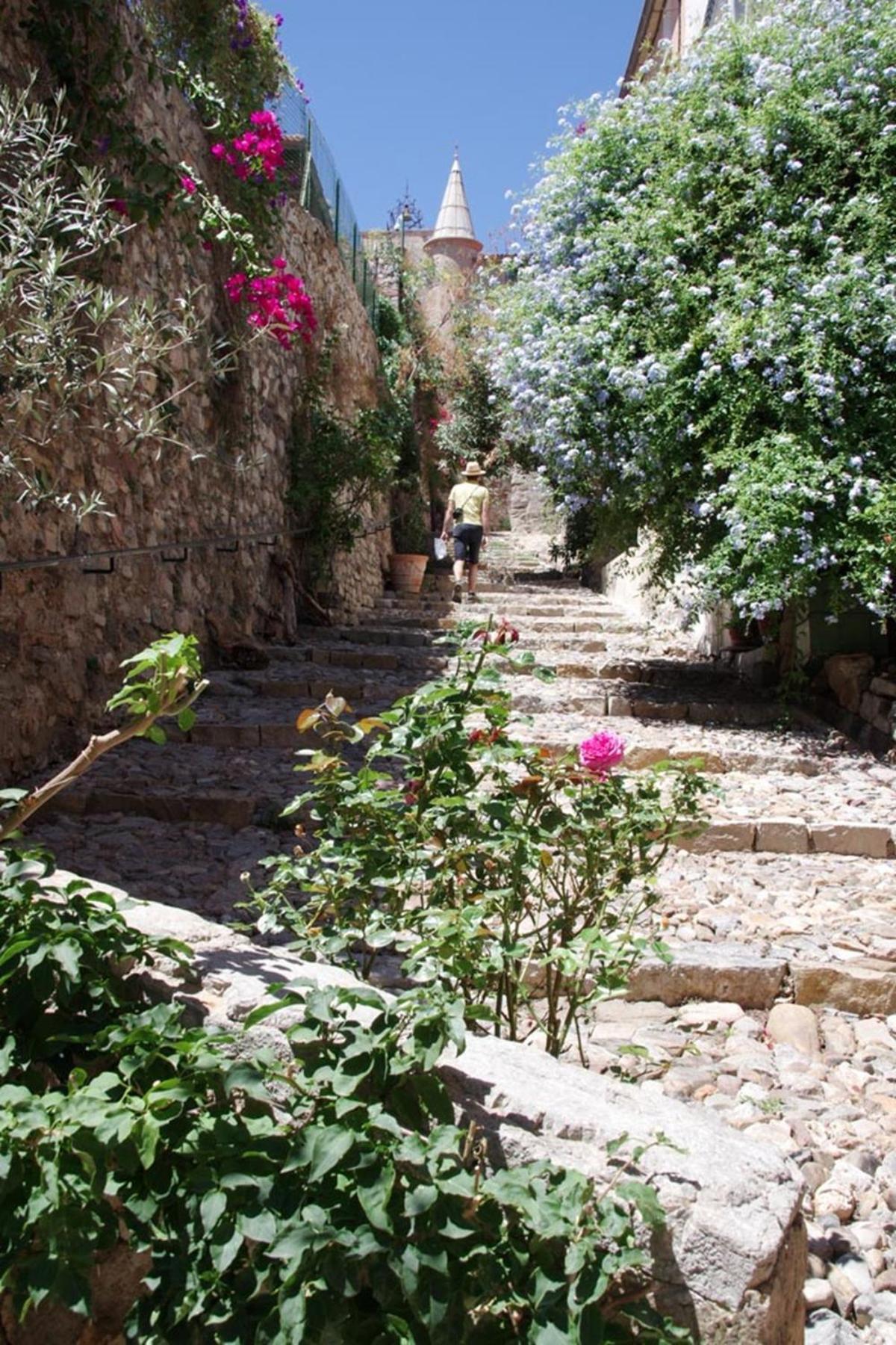 Le Palmae, Serenite Et Charme En Coeur De Ville Hyères Exteriér fotografie